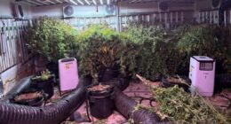 Police make illicit $2.1 million find at Sydney home