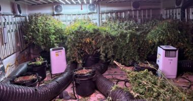 Police make illicit $2.1 million find at Sydney home