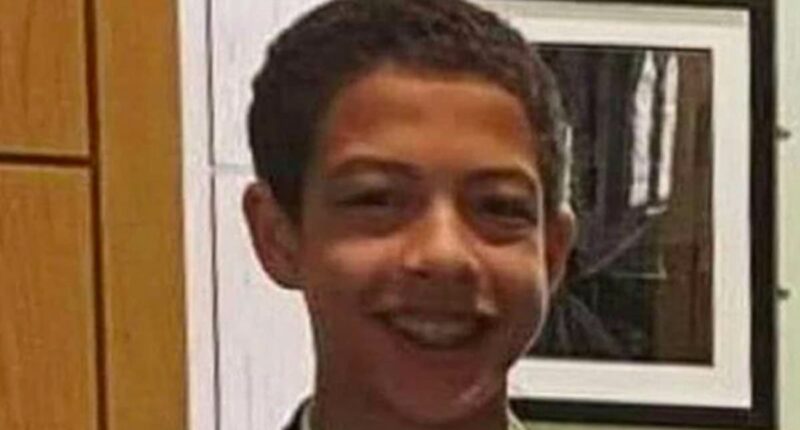 Police 'missed' CCTV of Noah Donohoe in 'critical' first 24 hours