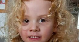 Police provide bombshell update on the search for Gus Lamont