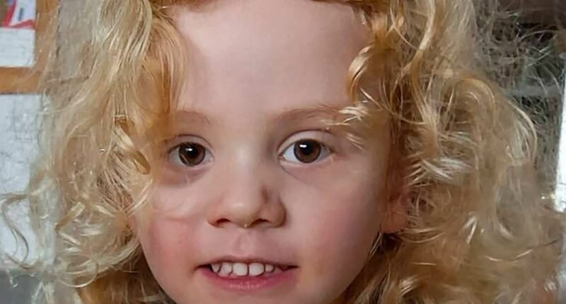 Police provide bombshell update on the search for Gus Lamont