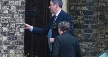 Police search Peter Mandelson's homes in north London and in Wiltshire