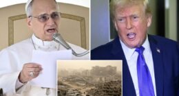Pope turns down offer to join Trump's Gaza Board of Peace