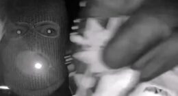 Possible tattoo seen in Nancy Guthrie video may help ID subject, former profiler says