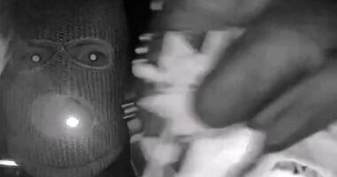 Possible tattoo seen in Nancy Guthrie video may help ID subject, former profiler says