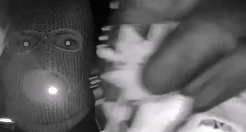 Possible tattoo seen in Nancy Guthrie video may help ID subject, former profiler says