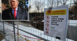 President Trump intervenes as millions of gallons of crap ravage Potomac following sewage pipe rupture