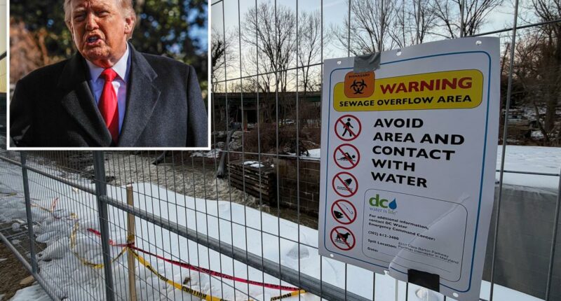 President Trump intervenes as millions of gallons of crap ravage Potomac following sewage pipe rupture