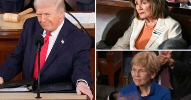 President Trump throws shade at Pelosi with call to end congressional stock trading, gets ovation from Sen. Warren