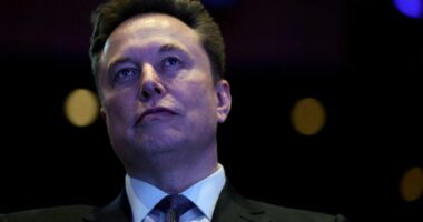 Pressure grows on Musk as ICO launches official investigation into X's AI Grok over sexual images of children