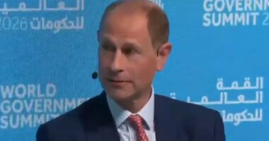 Prince Edward speaks out amid Jeffrey Epstein furore