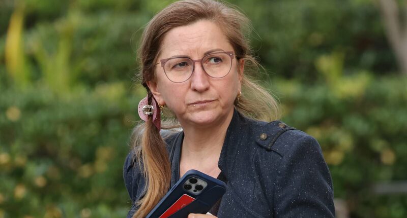 Psychiatrist of man who went on a stabbing spree slammed