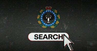 SA public child sex offenders registry