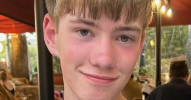 Pupil, 15, who was the son of top vets took his own life in garden