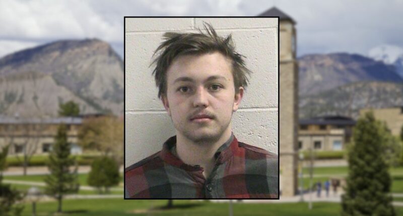 'Put a hat on him': College student allegedly asked 3 people to kill his neighbor for $500 after the first person turned him down and went to the cops