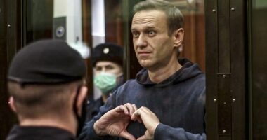 Putin had nemesis Alexei Navalny killed using poison from dart frog