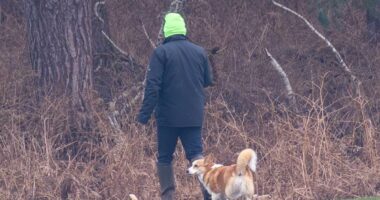 Queen Elizabeth's dogs are spotted on the Sandringham estate