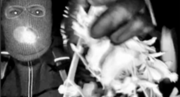 REPORT: Person of interest detained amid search for Nancy Guthrie, official says