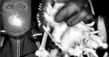 REPORT: Person of interest detained amid search for Nancy Guthrie, official says