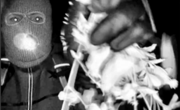 REPORT: Person of interest detained amid search for Nancy Guthrie, official says