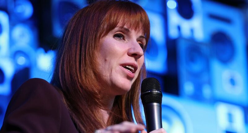 Rayner urges Starmer to turn Left as Labour's 'interim leader'