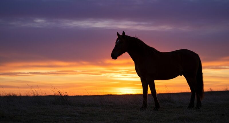 Readers sound off on the Lunar New Year, the EPA and a worthy Penn plan