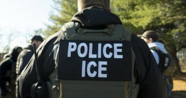 RedState Weekly Briefing: Anti-ICE Anarchy, Walz Wreckage, Canada Cracking, Trump Unleashed