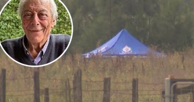 Remains found in search for kidnapped Sydney grandfather