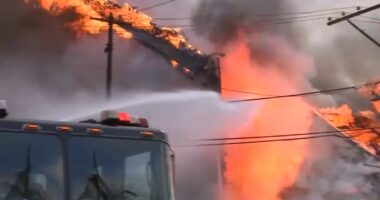 Renewal Life Church congregation relaunches services after South Emerald Avenue church in Englewood collapses in Thanksgiving fire