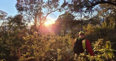 Police and volunteers wrapped up their extensive five-day search today.