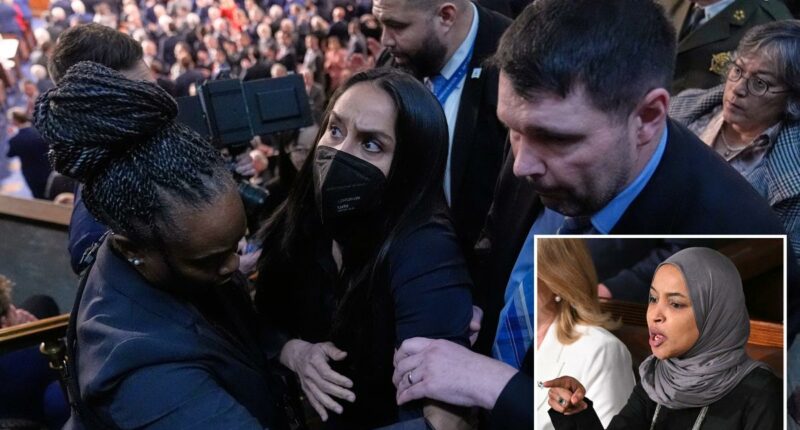 Rep. Ilhan Omar claims State of the Union guest Aliya Rahman was 'forcibly removed' and arrested for standing