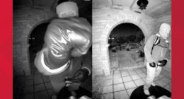 Reports: Person held for questioning in Nancy Guthrie case released without charges