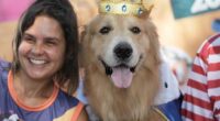 Rio Carnival street party dogs parade as humans protest against pet killers
