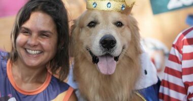 Rio Carnival street party dogs parade as humans protest against pet killers