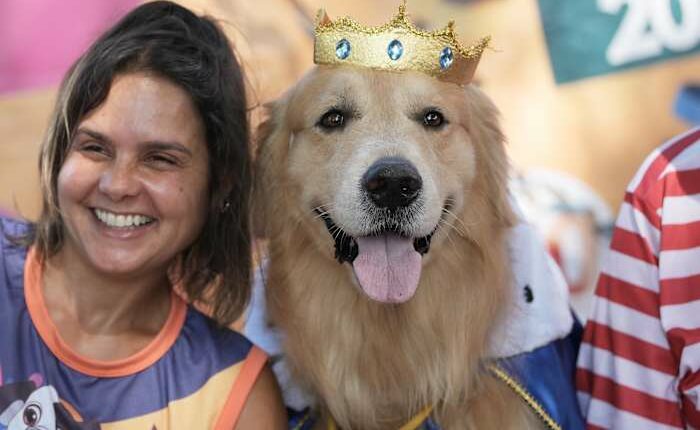 Rio Carnival street party dogs parade as humans protest against pet killers
