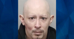 Road Rager Shoots 10-Year-Old Girl When Mom Honks at Him for Cutting Her Off