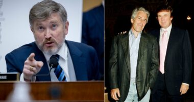 Rogue Republican calls Trump presidency the 'Epstein administration'