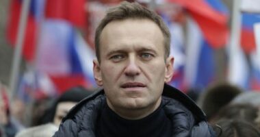 Russia accused of killing opposition leader Alexei Navalny with 'dart frog toxin'