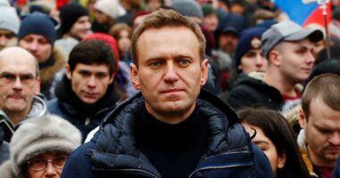 Russia murdered Alexei Navalny with deadly frog poison, European countries conclude