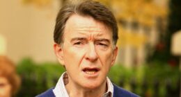 Russian oligarch flew Peter Mandelson to summit with Putin