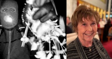 SAVANNAH GUTHRIE’S MOM MISSING DAY 10: VIDEO, PIX OF MASKED INTRUDER EMERGE