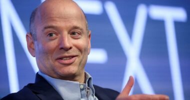 Schwimmer's sitting duck: LSEG boss looks out of his depth - now the sharks are circling, says RUTH SUNDERLAND