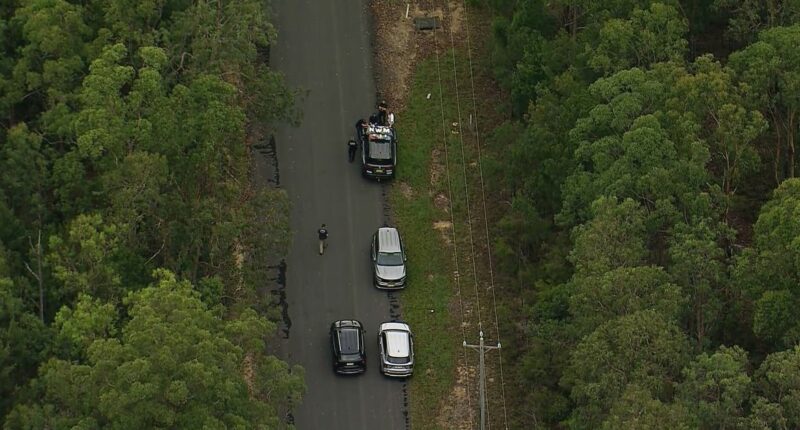 Search for kidnapped grandfather Chris Baghsarian centres on dense bushland