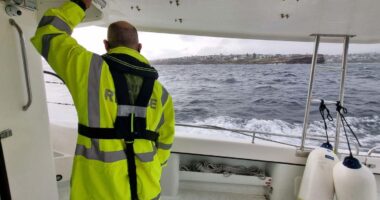 A search is under way for a swimmer who disappeared at ﻿Maroubra Beach in Sydney.