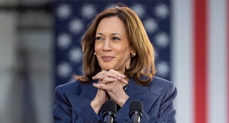 Secret links between Kamala Harris reboot and George Soros exposed as former veep chases Gavin Newsom's buzz