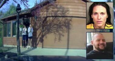 'Selfish' wife ambushed husband with fatal dose of animal tranquilizer during custody exchange of 3 daughters