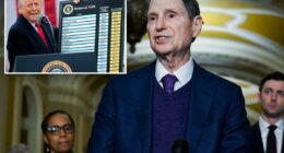 Senate Dems move to force Trump to pay back $175B in tariff revenue