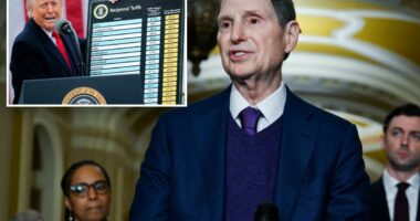 Senate Dems move to force Trump to pay back $175B in tariff revenue