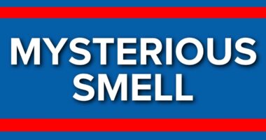 Several treated due to mysterious smell in Glynn County; no threat to public safety, officials say