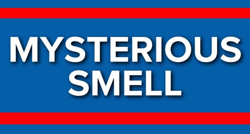 Several treated due to mysterious smell in Glynn County; no threat to public safety, officials say